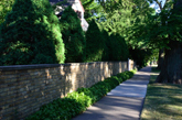 Evanston Lakefront Bike Path on a sidewalk